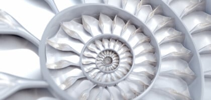 What Is the Influence of the Fibonacci Sequence on Forex Trading?